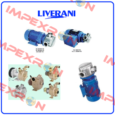 34341102 Liverani