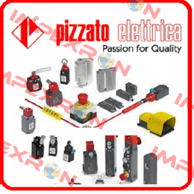 FG 60CD1D0A-F28  Pizzato Elettrica