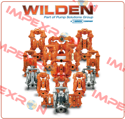  XPX8/SSAAA/EPU/EP/EP/0014 2"  Wilden