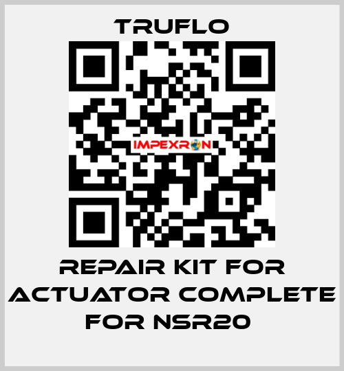 Repair Kit For Actuator Complete For NSR20  TRUFLO