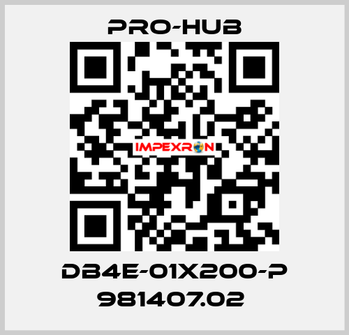 DB4E-01X200-P 981407.02  Pro-Hub