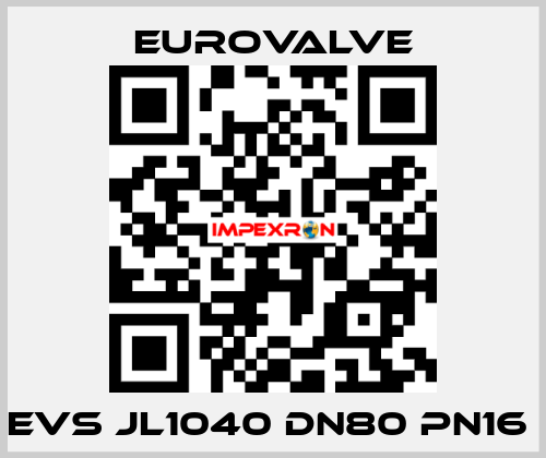 EVS JL1040 DN80 PN16  Eurovalve