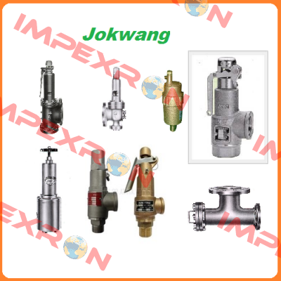 FF100-C-3/4"D1"-A11-212-CN2 9,1BARG  Jokwang