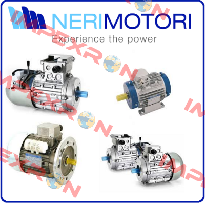 Type: 13052170002  Neri Motori