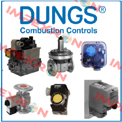 ZM 300-1 230V (029312) Dungs