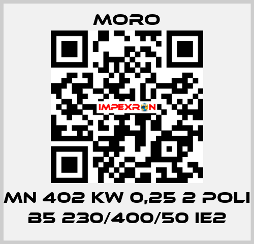 MN 402 KW 0,25 2 POLI B5 230/400/50 IE2 Moro