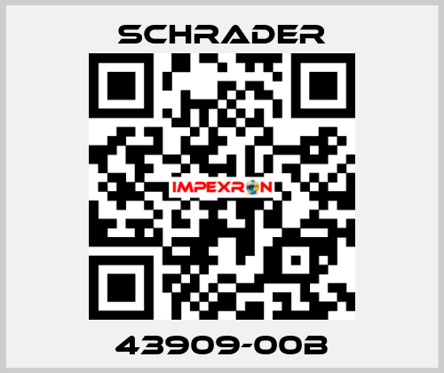 43909-00B Schrader