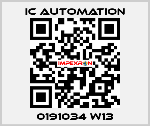 0191034 W13 ic automation