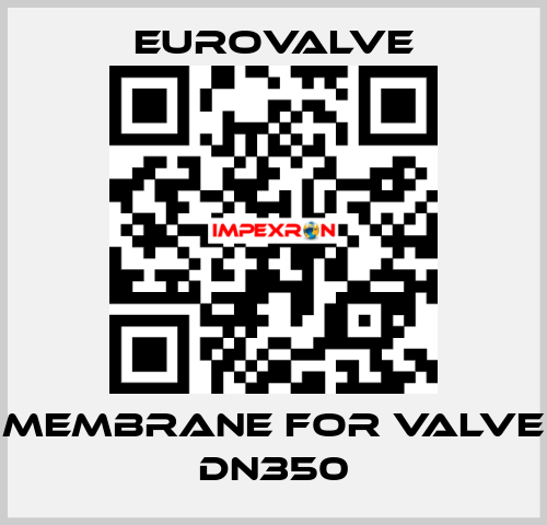 membrane for valve DN350 Eurovalve