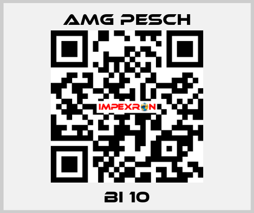 BI 10 AMG Pesch