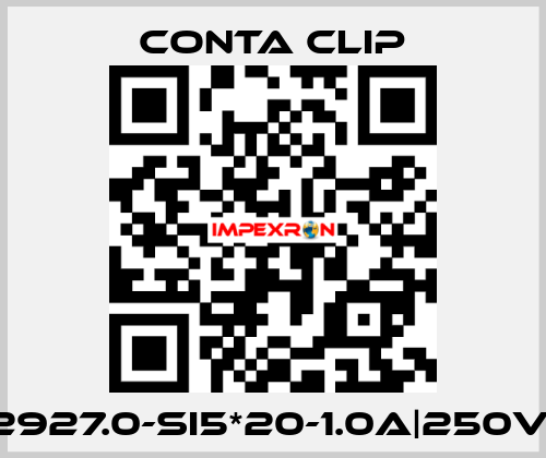 2927.0-SI5*20-1.0A|250V| Conta Clip