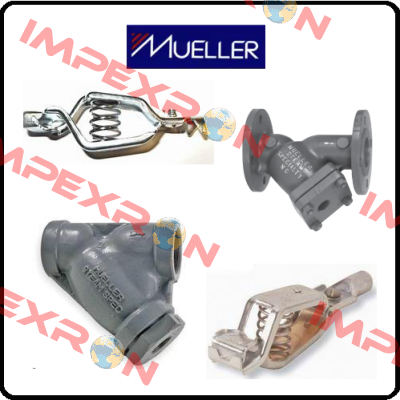 R2365  Mueller