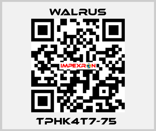 TPHK4T7-75  Walrus