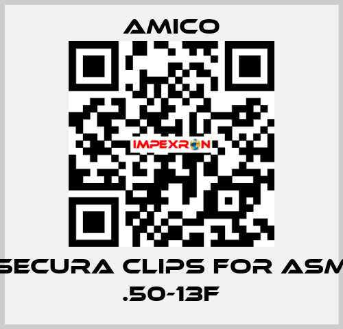 Secura Clips for ASM .50-13F AMICO