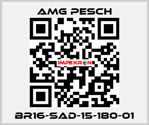 BR16-SAD-15-180-01 AMG Pesch