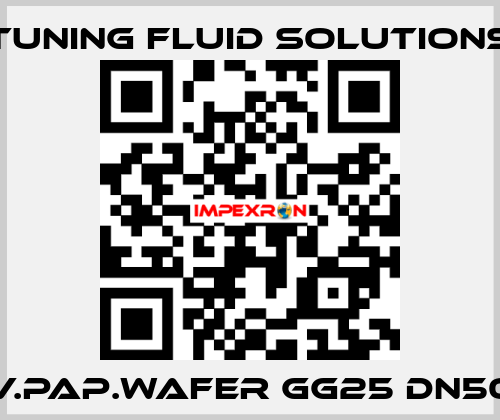 V.PAP.WAFER GG25 DN50 Tuning Fluid Solutions