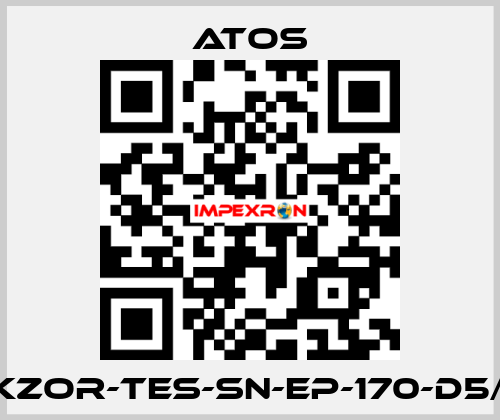 DKZOR-TES-SN-EP-170-D5/FI Atos