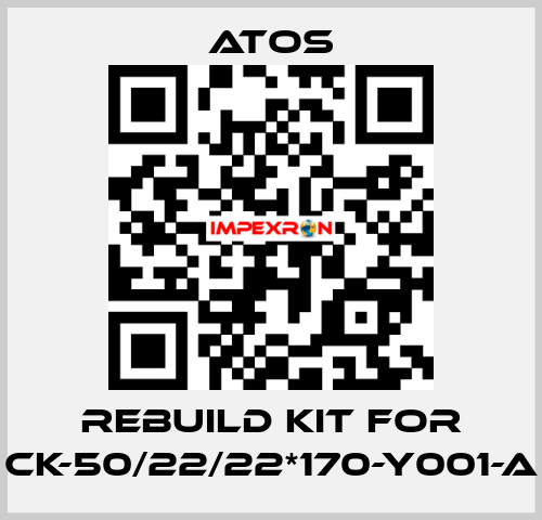 rebuild kit for CK-50/22/22*170-Y001-A Atos