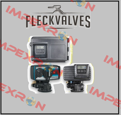 60029ASSY-REV Fleck Valves