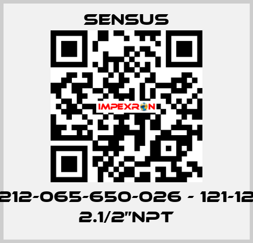 212-065-650-026 - 121-12 2.1/2”NPT Sensus