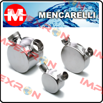 G/120 NBR NEOPRENE AISI-304 Mencarelli