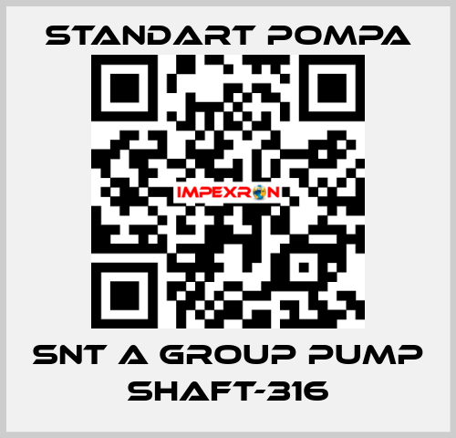 SNT A GROUP PUMP SHAFT-316 STANDART POMPA