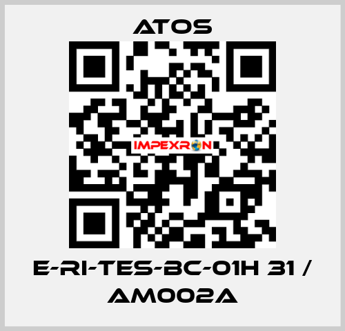 E-RI-TES-BC-01H 31 / AM002A Atos