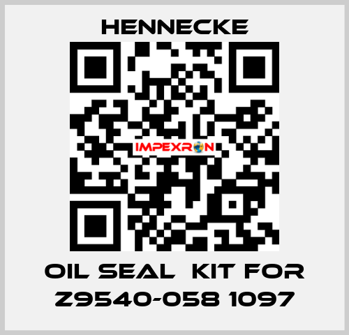 oil seal  kit for Z9540-058 1097 Hennecke