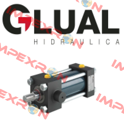 KI-40/28X360-A303-2-AD-F-M-30 Glual Hydraulics