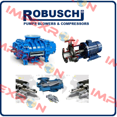 Bearing (Pos.31)  Robuschi