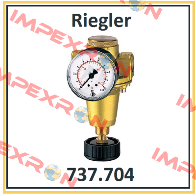 P/N: 100893 Type: 737.704 Riegler