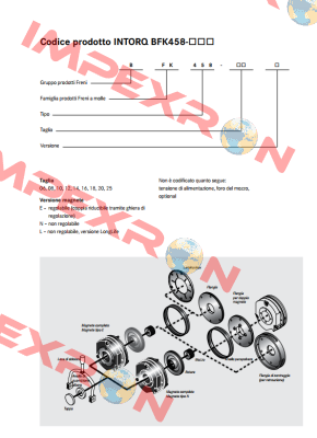 Ring for BFK458-20E Intorq